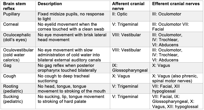 Brain Death Or Death By Neurologic Criteria OpenAnesthesia