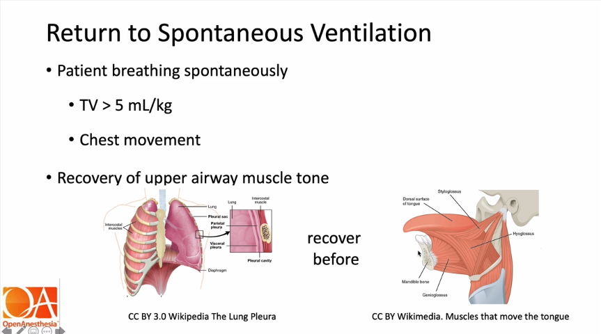 Pediatric Tracheal Extubation - OpenAnesthesia